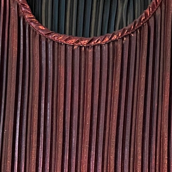 PRICE DROP! Shimmery, Stylish Tops for Fall /Holidays - Set of 2! - Picture 7 of 16